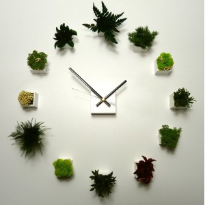 Horloge Végétale Stabilisée