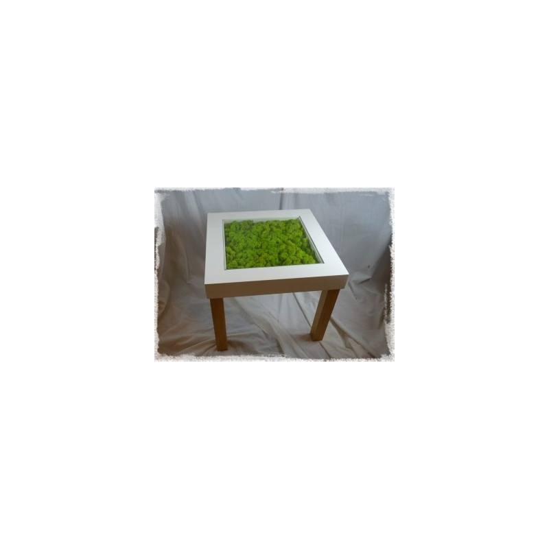 Table végétale lichen stabilisé