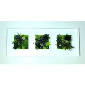 Tableau Végétal Led Mixte 100 x 40 cm