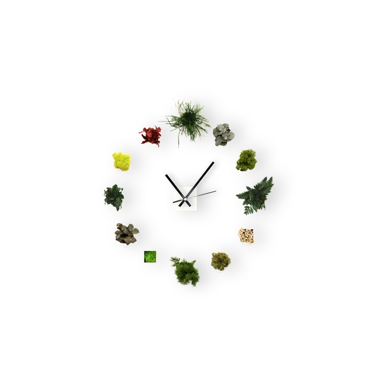 Horloge Green Time Small