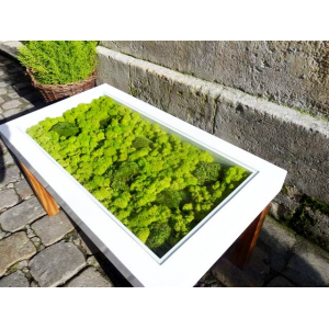 Table Basse Végétale Lichens 