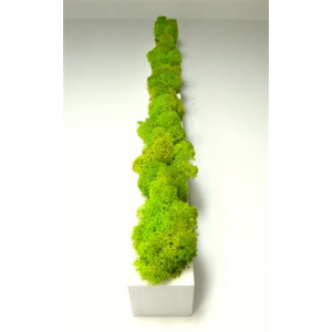 Barre Végétale Lichen Citron 100 cm