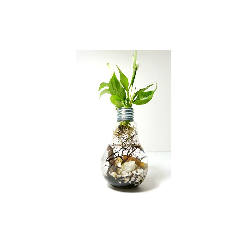 Vase Ampoule Aquaplante medium