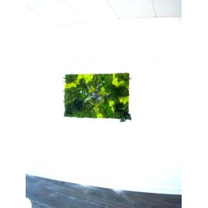 Tableau Végétal Forest 120 x 80 cm