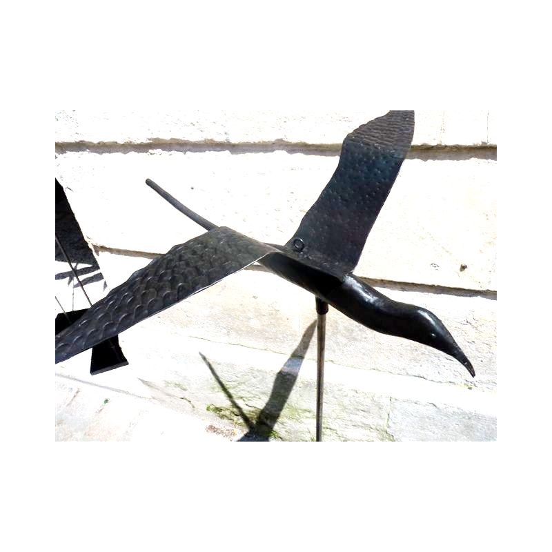 Paille en Queue Large