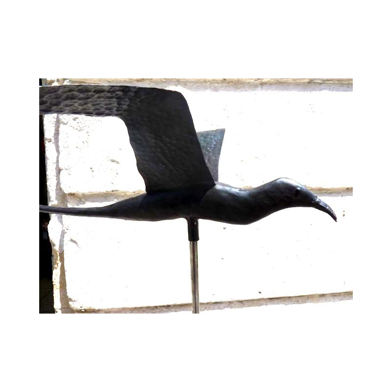 Paille en Queue Medium