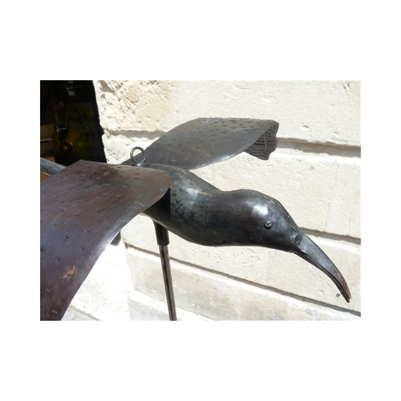 Paille en Queue Medium