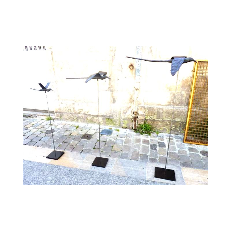 Paille en Queue Medium