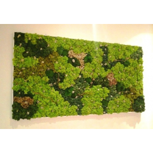 Tableau Végétal Lichens Geant 170x 90cm