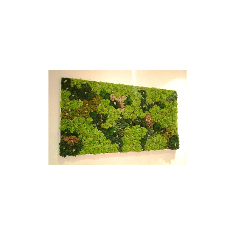 Tableau Végétal Lichens Geant 170x 90cm