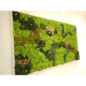 Tableau Végétal Lichens Geant 170x90cm